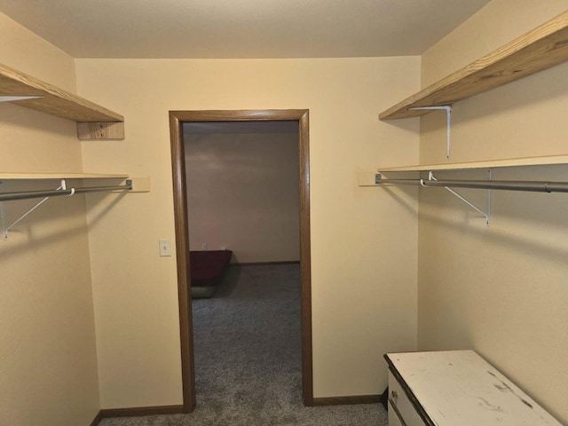1983 US Highway 2, Florence, WI 54121 - walk in closet with dark carpet