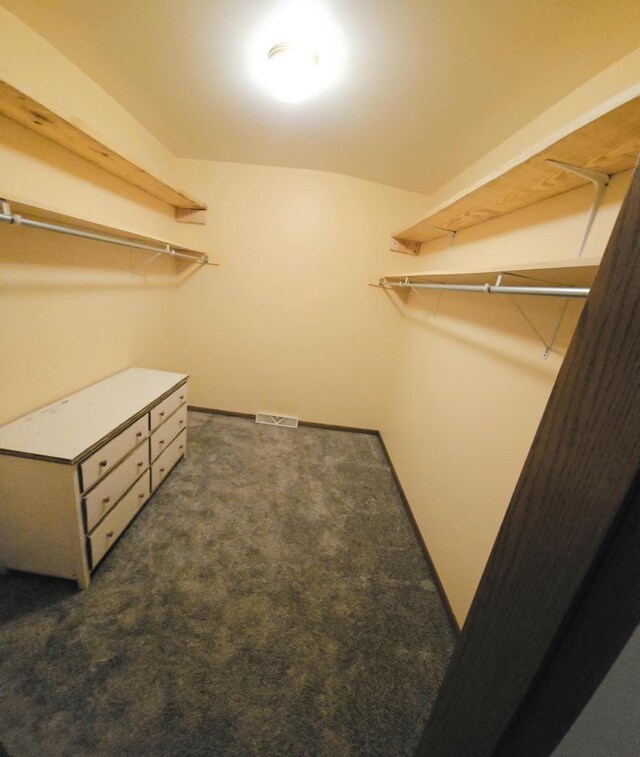 1983 US Highway 2, Florence, WI 54121 - walk in closet with carpet flooring