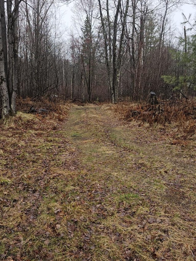1983 US Highway 2, Florence, WI 54121 - view of tree filled area