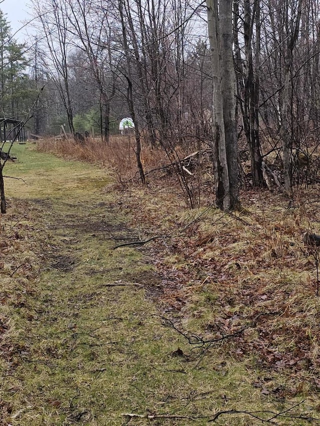 1983 US Highway 2, Florence, WI 54121 - view of yard