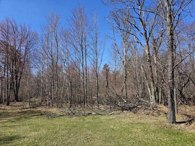 1983 US Highway 2, Florence, WI 54121 - view of yard