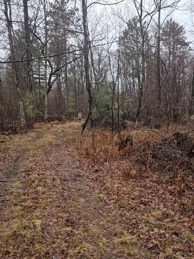 1983 US Highway 2, Florence, WI 54121 - view of local wilderness