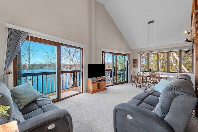 9331 N Marl Lake Rd, Pound, WI 54161 - living area with carpet flooring and high vaulted ceiling