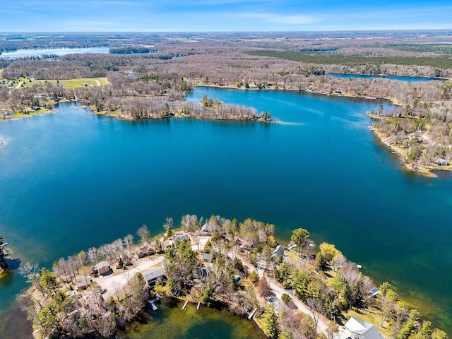 9331 N Marl Lake Rd, Pound, WI 54161 - aerial view of property's location featuring a nearby body of water and a forest