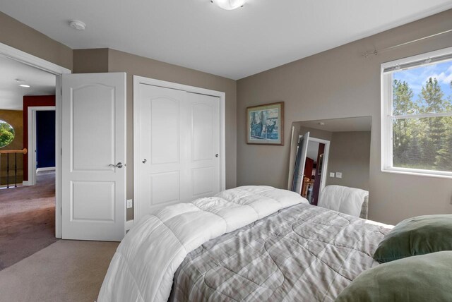 W4344 Carl Dr, Fond Du Lac, WI 54937 - bedroom featuring carpet floors and a closet