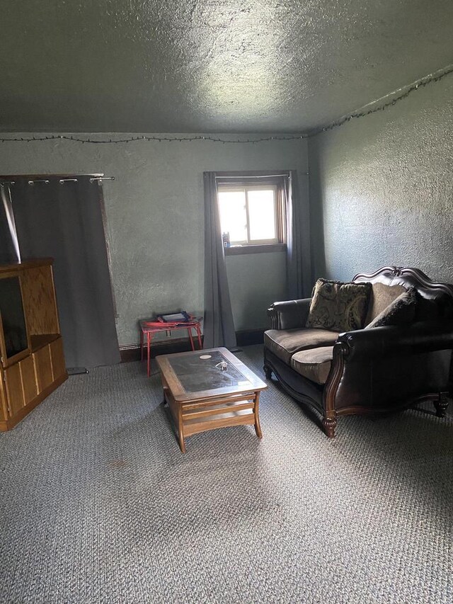 1040 N 1st St, Wisconsin Rapids, WI 54494 - living area with a textured wall, carpet flooring, and a textured ceiling