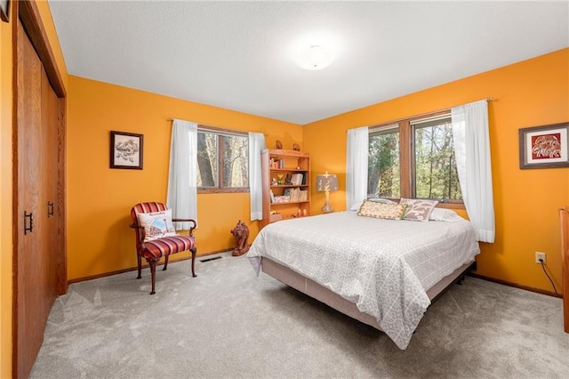 1395 25th St, Houlton, WI 54082 - bedroom featuring multiple windows, carpet flooring, and baseboards