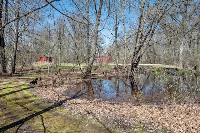 1395 25th St, Houlton, WI 54082 - water view