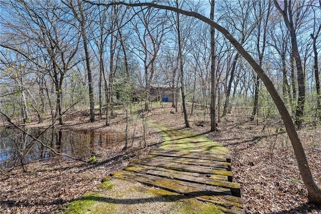 1395 25th St, Houlton, WI 54082 - view of yard