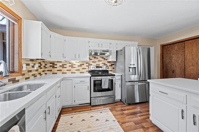 1395 25th St, Houlton, WI 54082 - kitchen featuring appliances with stainless steel finishes, a sink, under cabinet range hood, light countertops, and white cabinets