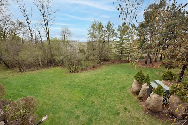 18235 W Wisconsin Ave, Brookfield, WI 53045 - view of green lawn