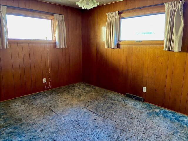 318 Spruce St, Spooner, WI 54801 - unfurnished room featuring wood walls and carpet floors