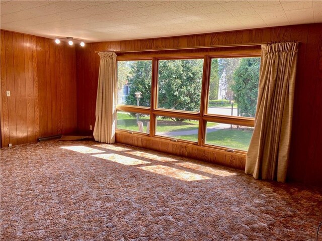 318 Spruce St, Spooner, WI 54801 - unfurnished room with wood walls and carpet floors