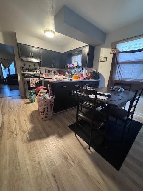 10547 W Wabash Ave Unit 10549, Milwaukee, WI 53224 - kitchen with stainless steel range oven, dark cabinets, light wood-type flooring, and light countertops