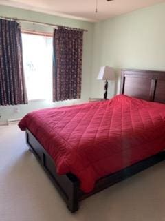 4 Red Cedar Trl, Madison, WI 53717 - carpeted bedroom with a ceiling fan