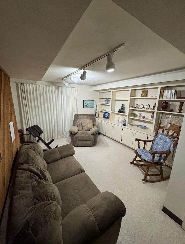 4 Red Cedar Trl, Madison, WI 53717 - carpeted living area featuring rail lighting