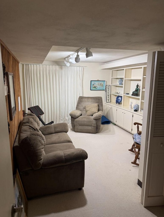 4 Red Cedar Trl, Madison, WI 53717 - living area featuring carpet flooring and rail lighting