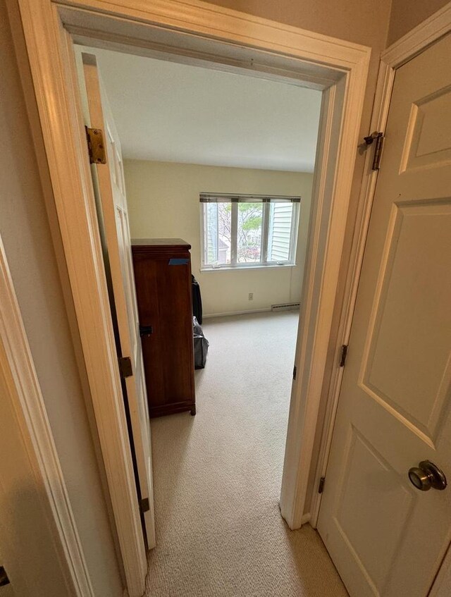 4 Red Cedar Trl, Madison, WI 53717 - hall featuring light carpet