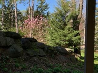 4 Red Cedar Trl, Madison, WI 53717 - view of undeveloped land