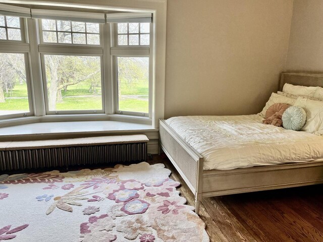 2701 N Lake Dr, Milwaukee, WI 53211 - bedroom featuring radiator heating unit, multiple windows, and wood finished floors