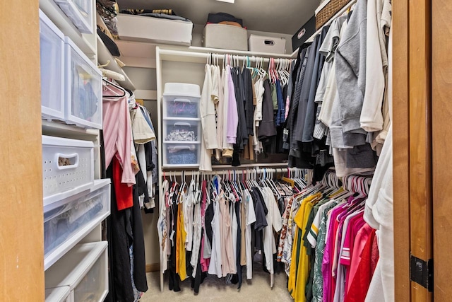 spacious closet featuring carpet floors