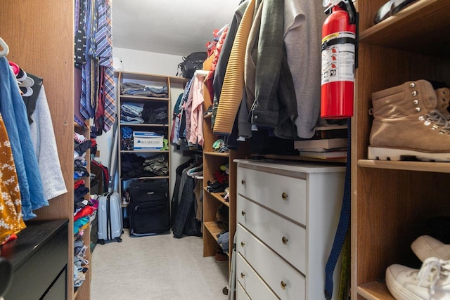 3311 S Scarlet Oak Ln, Appleton, WI 54915 - spacious closet featuring carpet