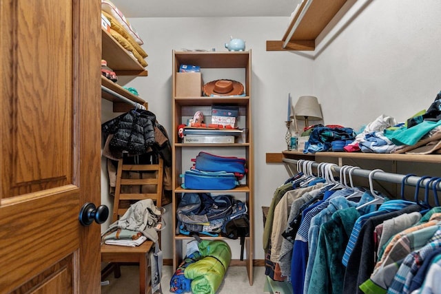 3311 S Scarlet Oak Ln, Appleton, WI 54915 - spacious closet with carpet floors