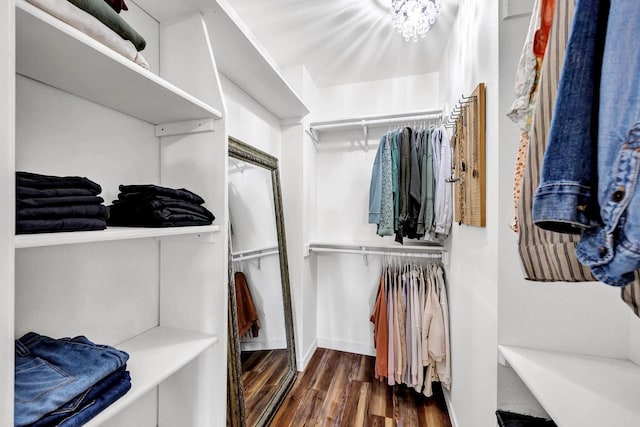 walk in closet featuring wood finished floors