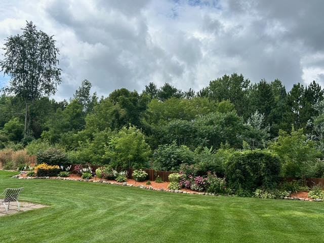 view of grassy yard