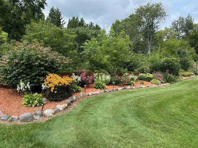 view of green lawn