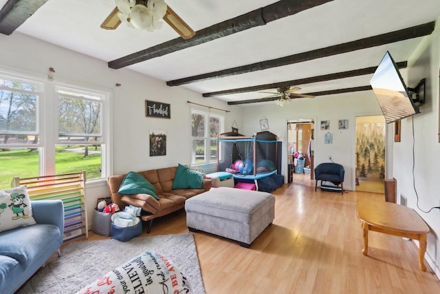 4121 1st Ave, Briggsville, WI 53920 - living room featuring a ceiling fan, wood finished floors, and beamed ceiling