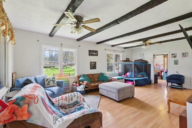 4121 1st Ave, Briggsville, WI 53920 - living room with a ceiling fan, light wood-type flooring, and beamed ceiling