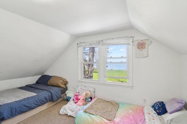 4121 1st Ave, Briggsville, WI 53920 - carpeted bedroom featuring lofted ceiling and a water view