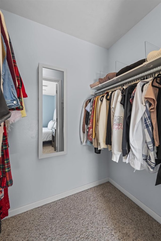 5719 Highland Way, Middleton, WI 53562 - spacious closet with carpet floors