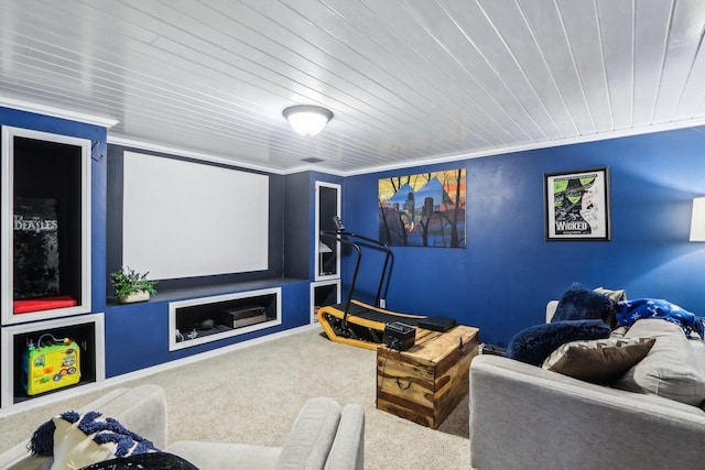 6941 Chester Dr Unit C, Madison, WI 53719 - carpeted cinema with wooden ceiling