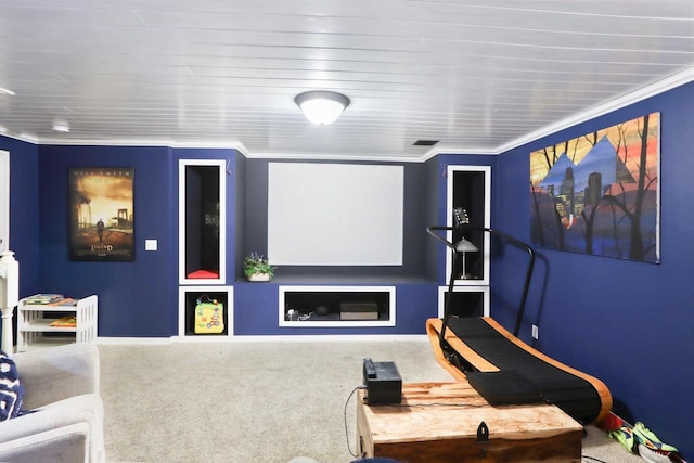6941 Chester Dr Unit C, Madison, WI 53719 - carpeted cinema with crown molding, built in shelves, and baseboards