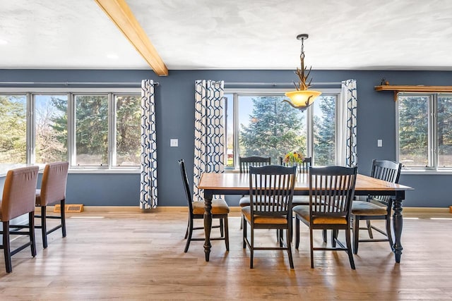 W3256 Princeton Rd, Green Lake, WI 54941 - dining area featuring beamed ceiling, healthy amount of natural light, baseboards, and wood finished floors