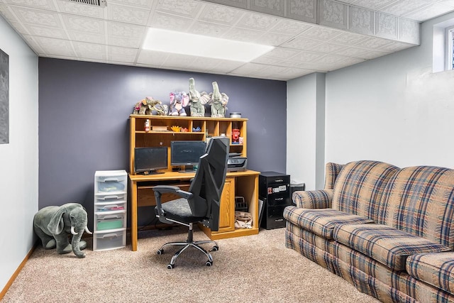 W3256 Princeton Rd, Green Lake, WI 54941 - home office with carpet floors