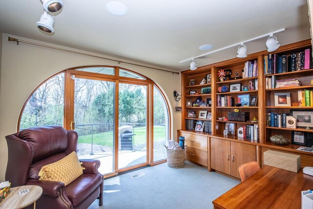 4455 Club Dr, Slinger, WI 53086 - living area featuring carpet flooring and track lighting