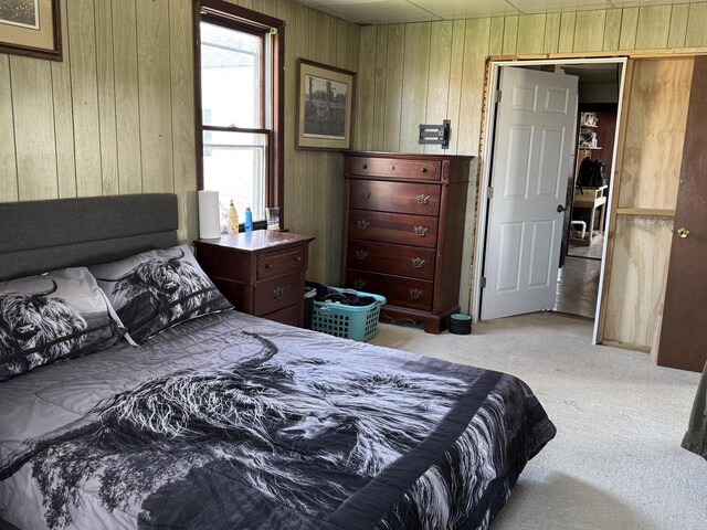 N3685 Mitchell Rd, Campbellsport, WI 53010 - carpeted bedroom featuring wood walls