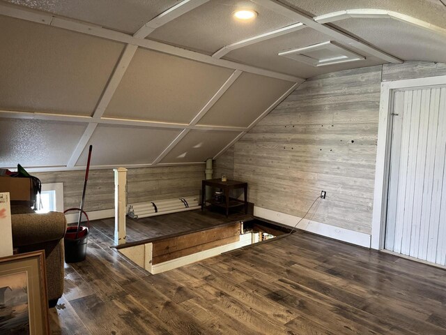 N3685 Mitchell Rd, Campbellsport, WI 53010 - bonus room featuring wood walls, wood finished floors, vaulted ceiling, and a wood stove