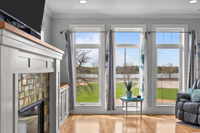 519 Park Ave, Little Chute, WI 54140 - doorway with plenty of natural light, ornamental molding, light wood finished floors, recessed lighting, and a water view