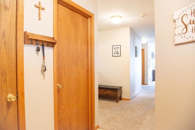 624 Westwynd Ct, Mazomanie, WI 53560 - corridor with carpet and baseboards