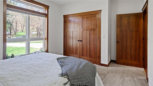 129 Grey Friar Ln, Eau Claire, WI 54701 - carpeted bedroom with a closet and baseboards