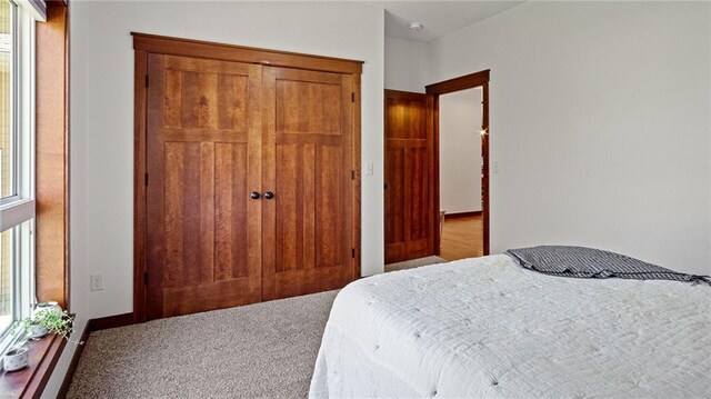 129 Grey Friar Ln, Eau Claire, WI 54701 - carpeted bedroom with a closet and multiple windows