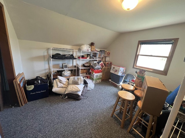 432 S Union St, Mauston, WI 53948 - additional living space featuring carpet floors and vaulted ceiling