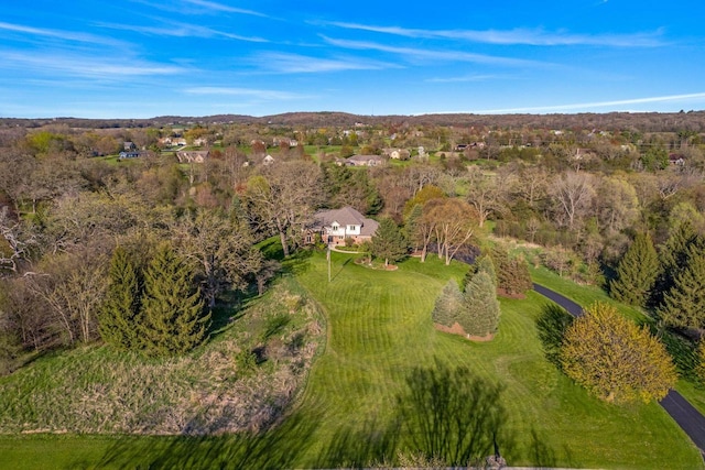 W343S9320 Jericho Dr, Eagle, WI 53119 - drone / aerial view