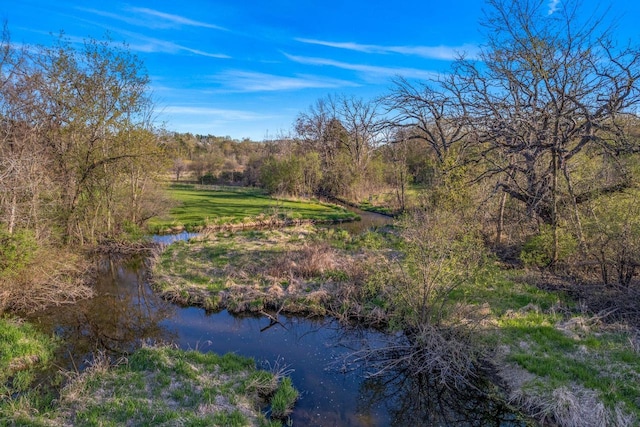 W343S9320 Jericho Dr, Eagle, WI 53119 - water view with a heavily wooded area