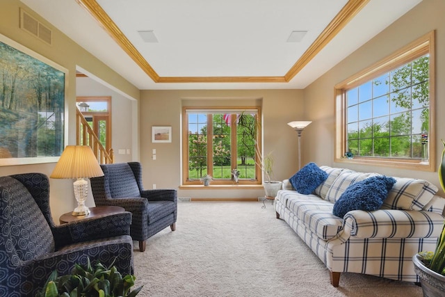 628 Sedge Meadow Ct, Summit, WI 53066 - living room with carpet flooring, healthy amount of natural light, a tray ceiling, and crown molding