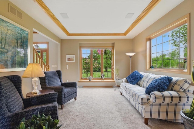 628 Sedge Meadow Ct, Summit, WI 53066 - living room featuring carpet, a raised ceiling, ornamental molding, and baseboards